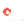 hsaa.co.in